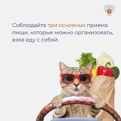 cat 3