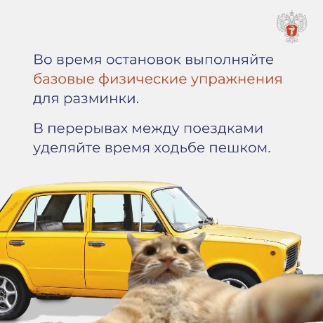 cat 5