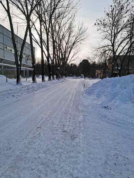 cist1