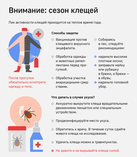 kleshch info1