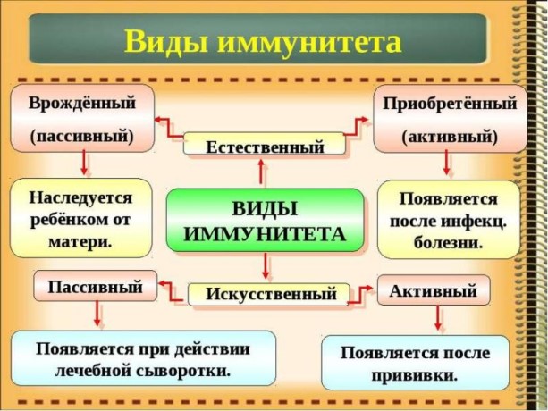 mmunitet 1