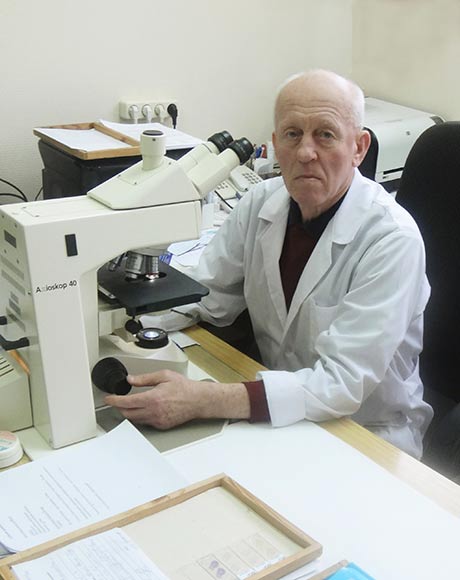 bormotov dr